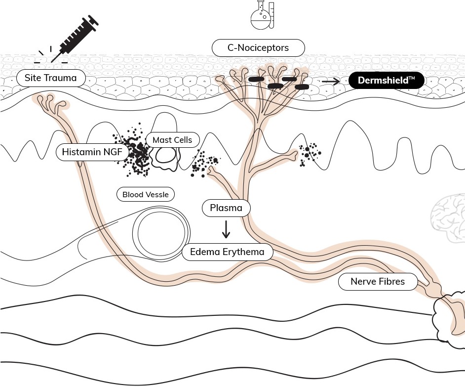 Dermshield technology diagram
