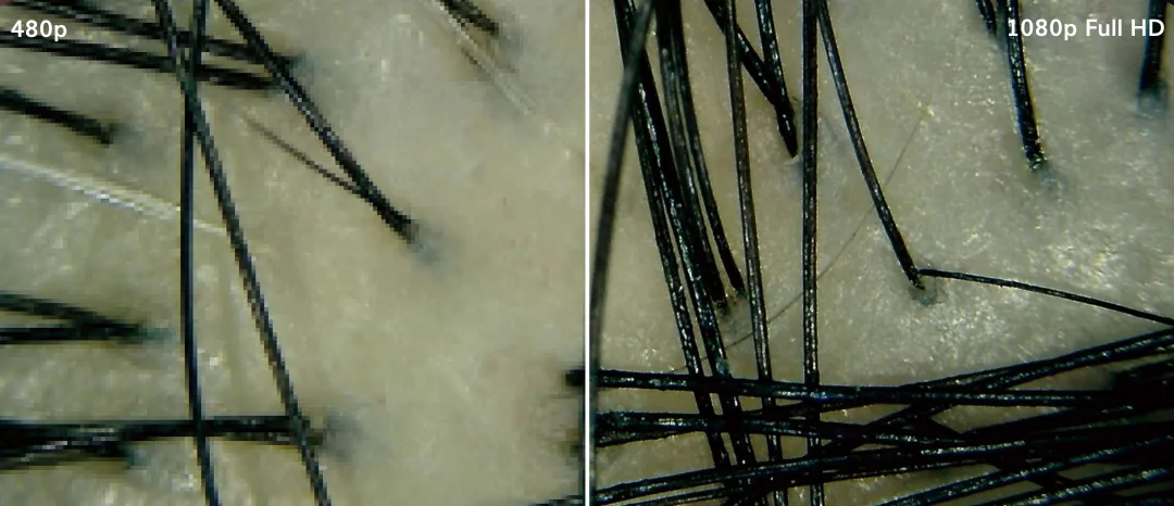 demonstration of 1080p Full HD camera