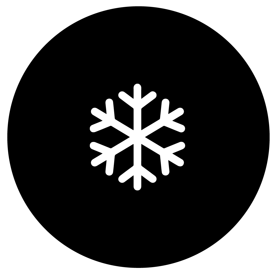 cold chain icon